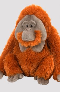Kosedyr orangutang