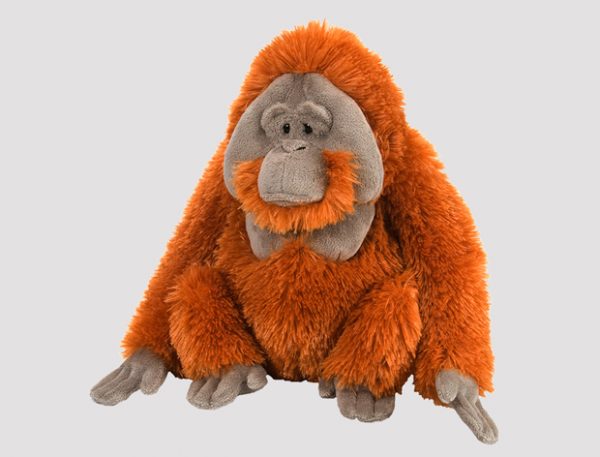 Kosedyr orangutang