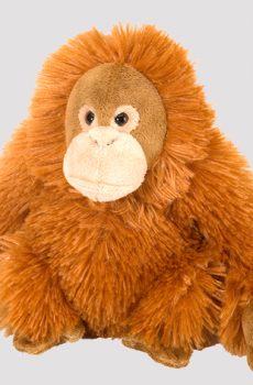 Kosedyr orangutang frøken