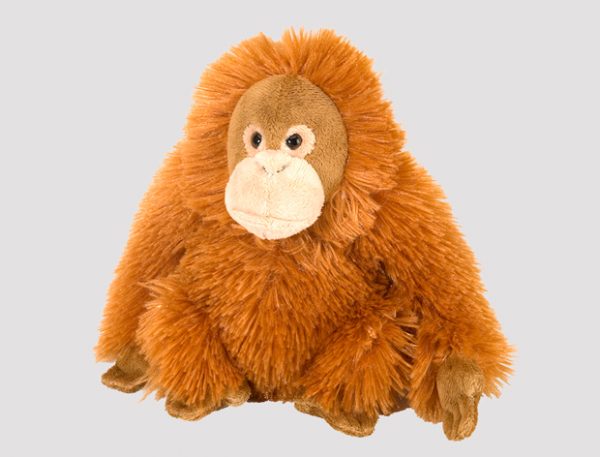 Kosedyr orangutang frøken