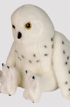 60085