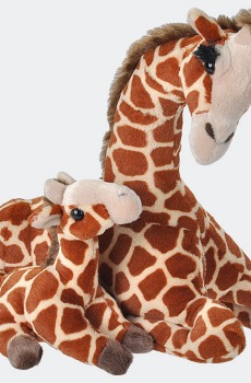 Mom and Baby Giraffe