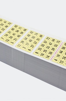 Toppbingo 1-75