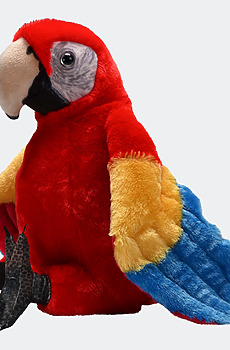 ARTIST-SCARLET-MACAW