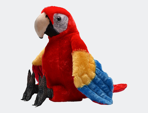 ARTIST-SCARLET-MACAW